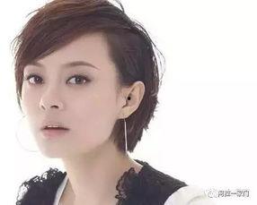 是上海人的明星